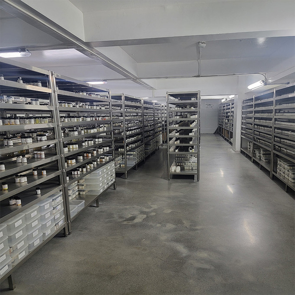 Guangzhou plant fragrance Co., Ltd 製造者の生産ライン