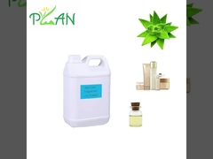 天然芳香アロエベラ精油 0.1%-0.5% 添加比 ドルセット アロマ