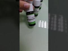 High Concentrated Authentic Blueberry Flavor Toothpaste Perfume with Free Sample for Safe Ingestion