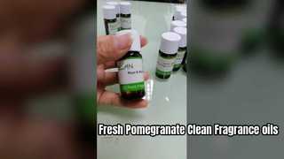 セーフガード ザクロの香り ボディウォッシュ＆シャンプー用