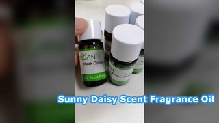 デイジー フレグランス オイル ロング ラスティング ホーム フレグランス