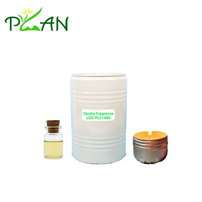 無料サンプル ホームスプレー ホリデイ イン 香水精油 発散器用 & 香りキャンドル& ロープスティック 原材料